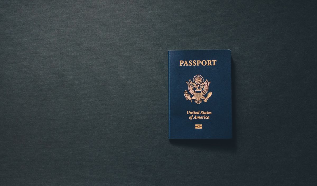 Biometric passport book with chip page