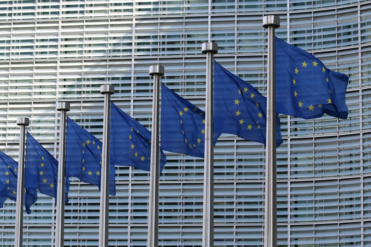 Row of European Union flags on flagpoles