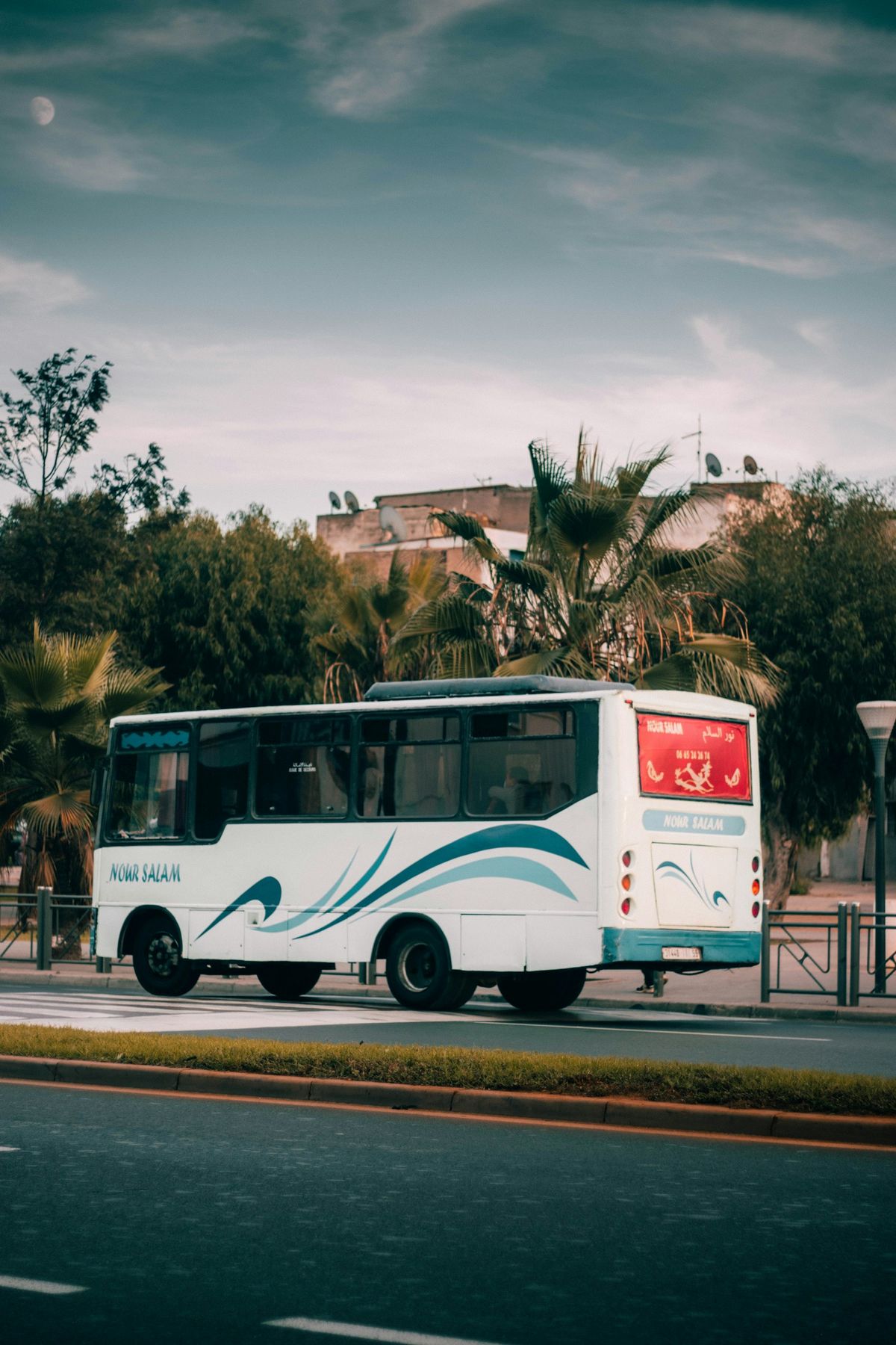 Blue and white coach bus parked on the roadside