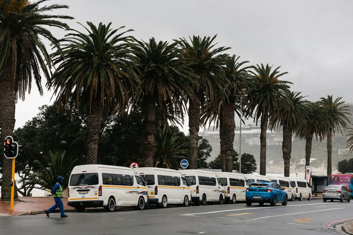 White minibuses lined up at African bus station with palm trees