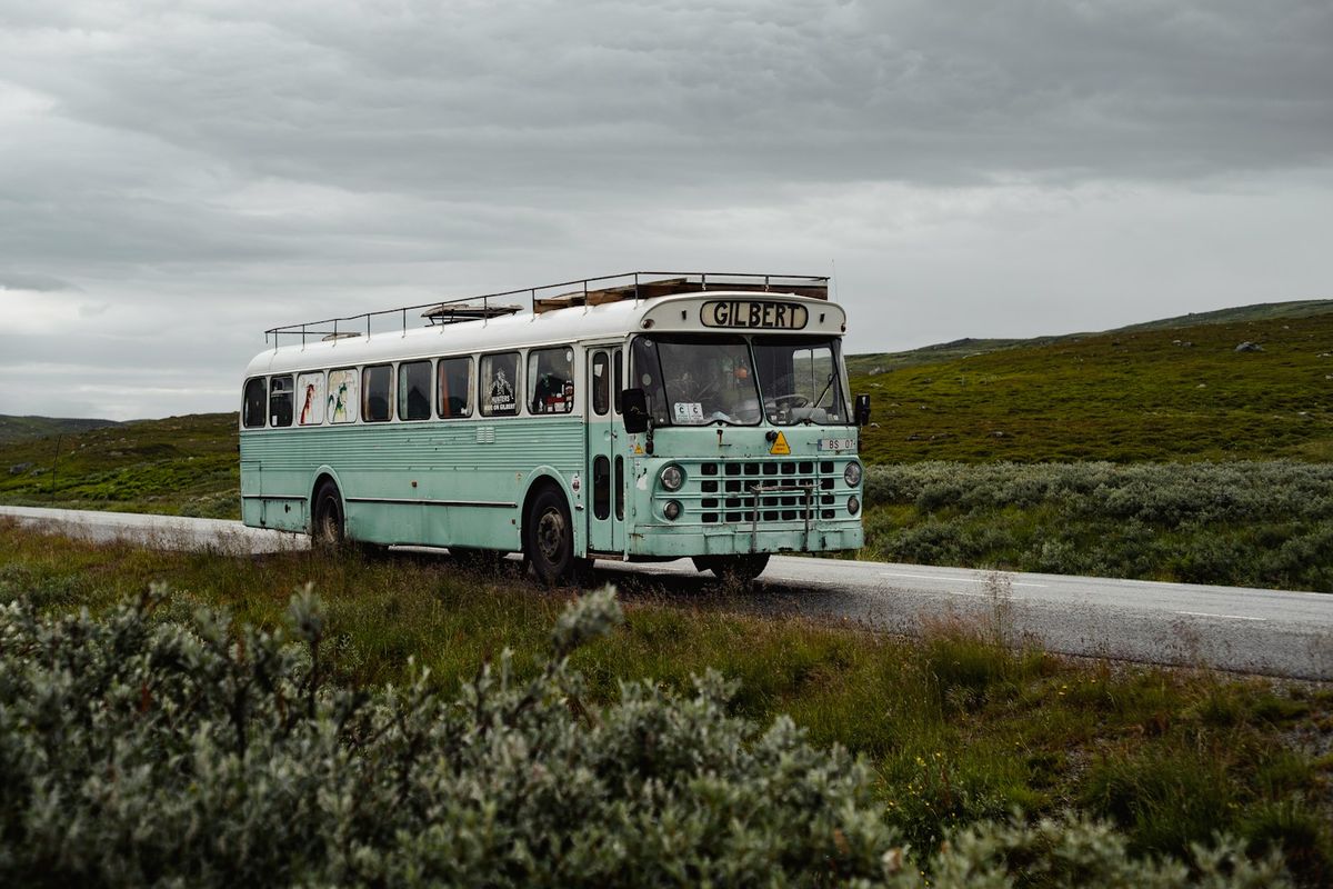 Old blue campervan parked by a lush green field on a road in Sweden