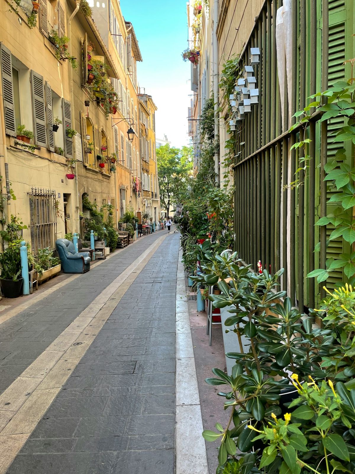 A charming street with plants in Marseille's old town