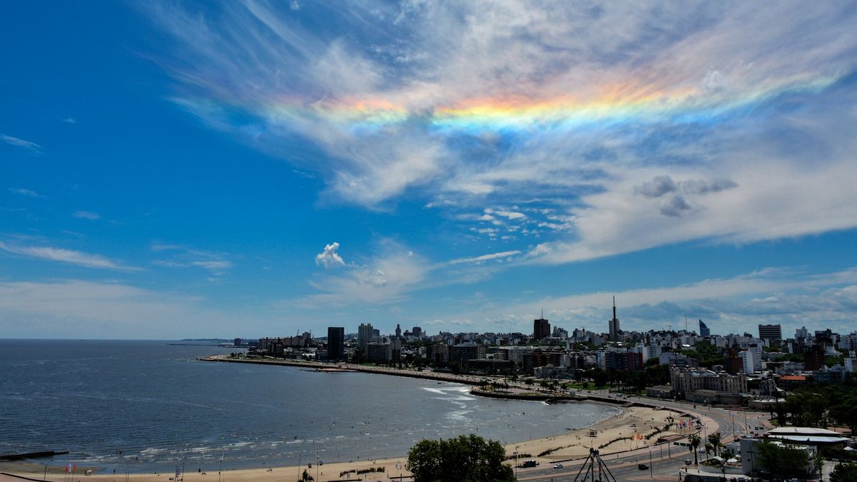 Montevideo city next to the water