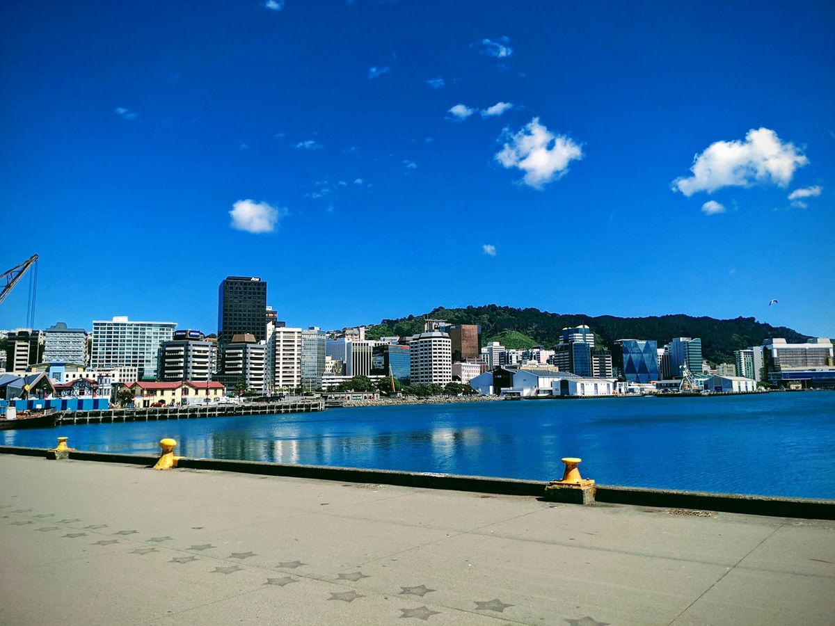 Wellington city buildings by the harbour