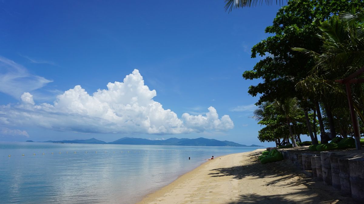 Tropical palm trees and turquoise sea at Koh Samui