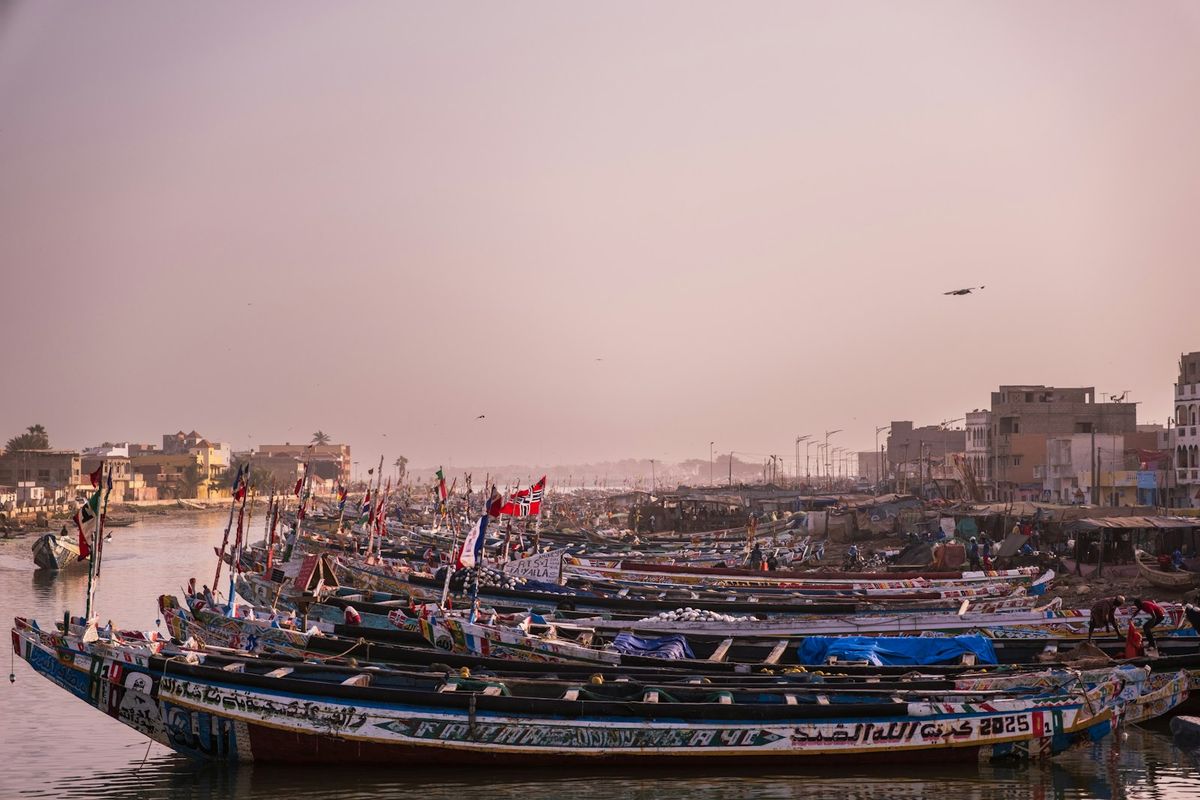 Colorful wooden fishing boats and pirogues docked in a West African harbor