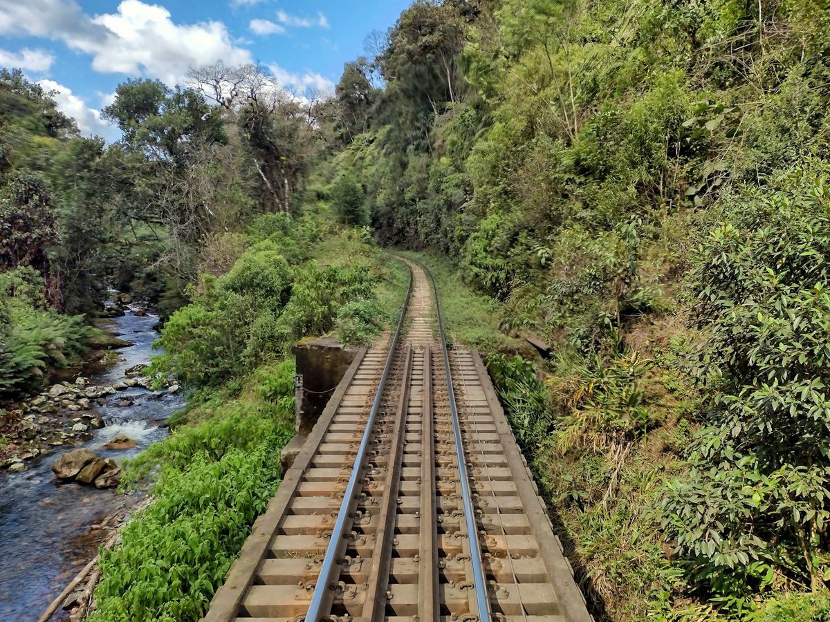 Train track winding through the lush Atlantic rainforest in Brazil