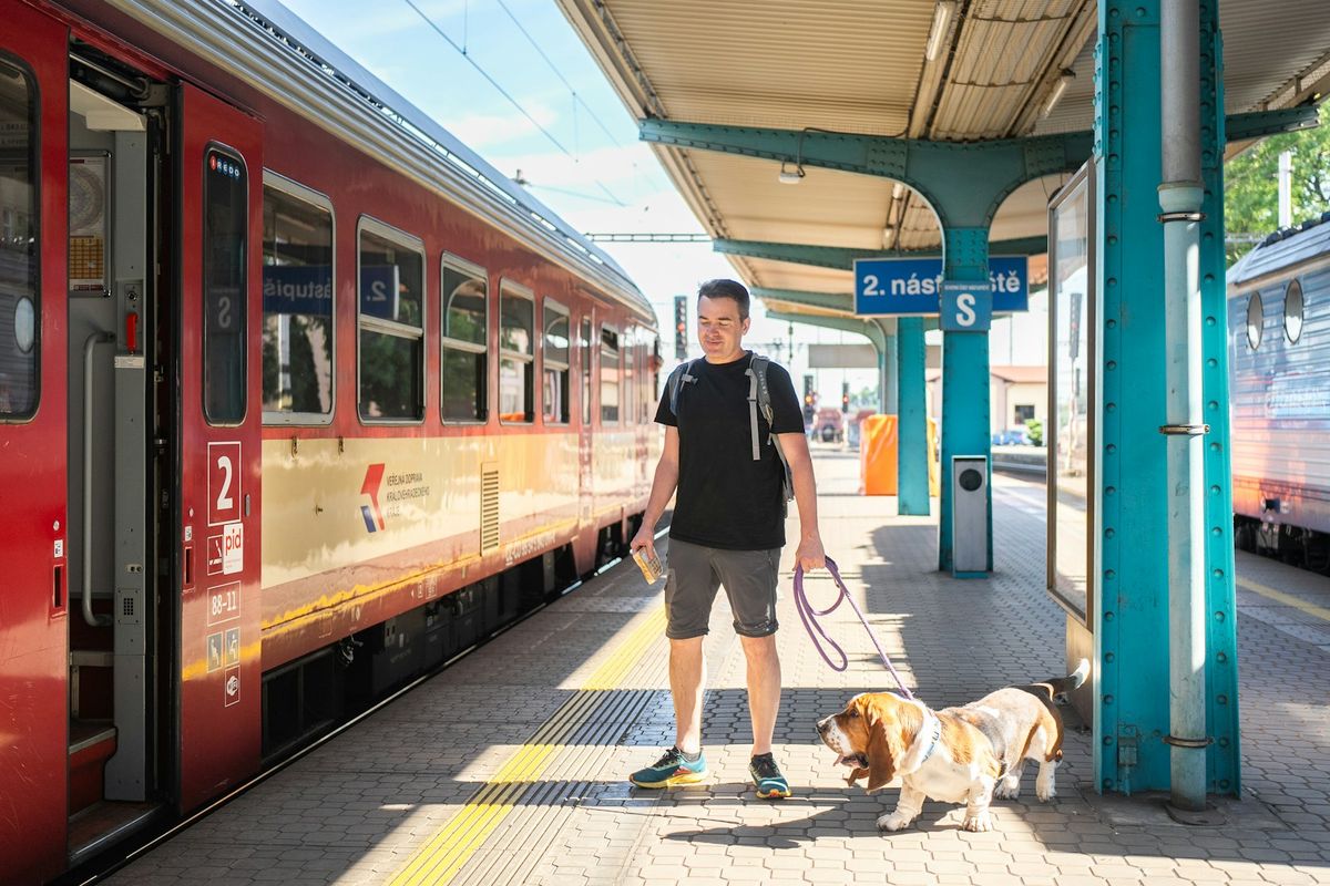 Man with dog waiting on a train station platform