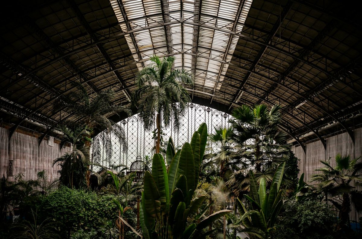 Tropical palm garden inside Madrid Atocha station