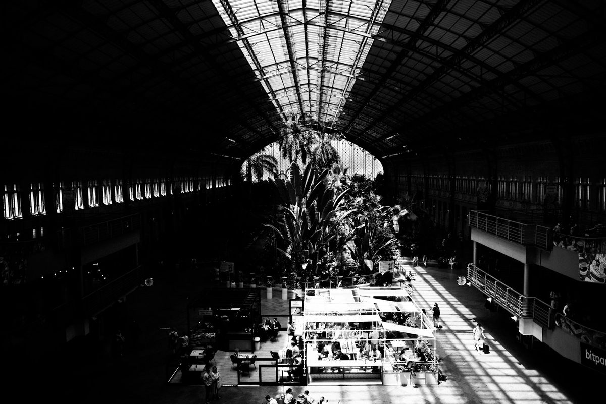 Wide view of the indoor garden with a large tree at Madrid Atocha station