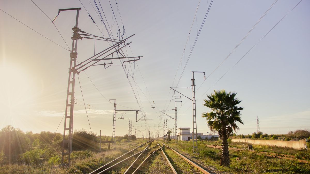 Train track with a palm tree, Morocco