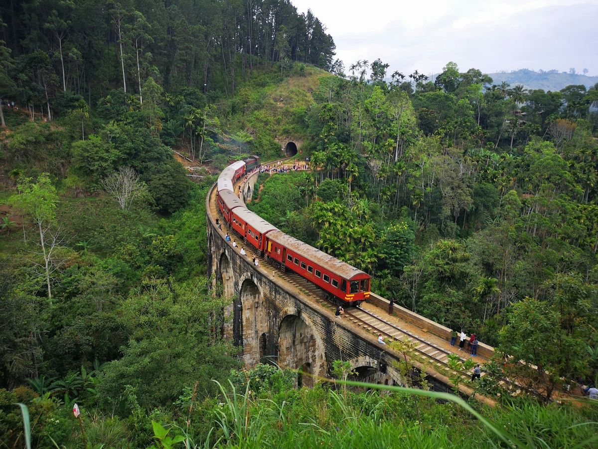 Train crossing the Nine Arch Bridge through dense forest in Sri Lanka