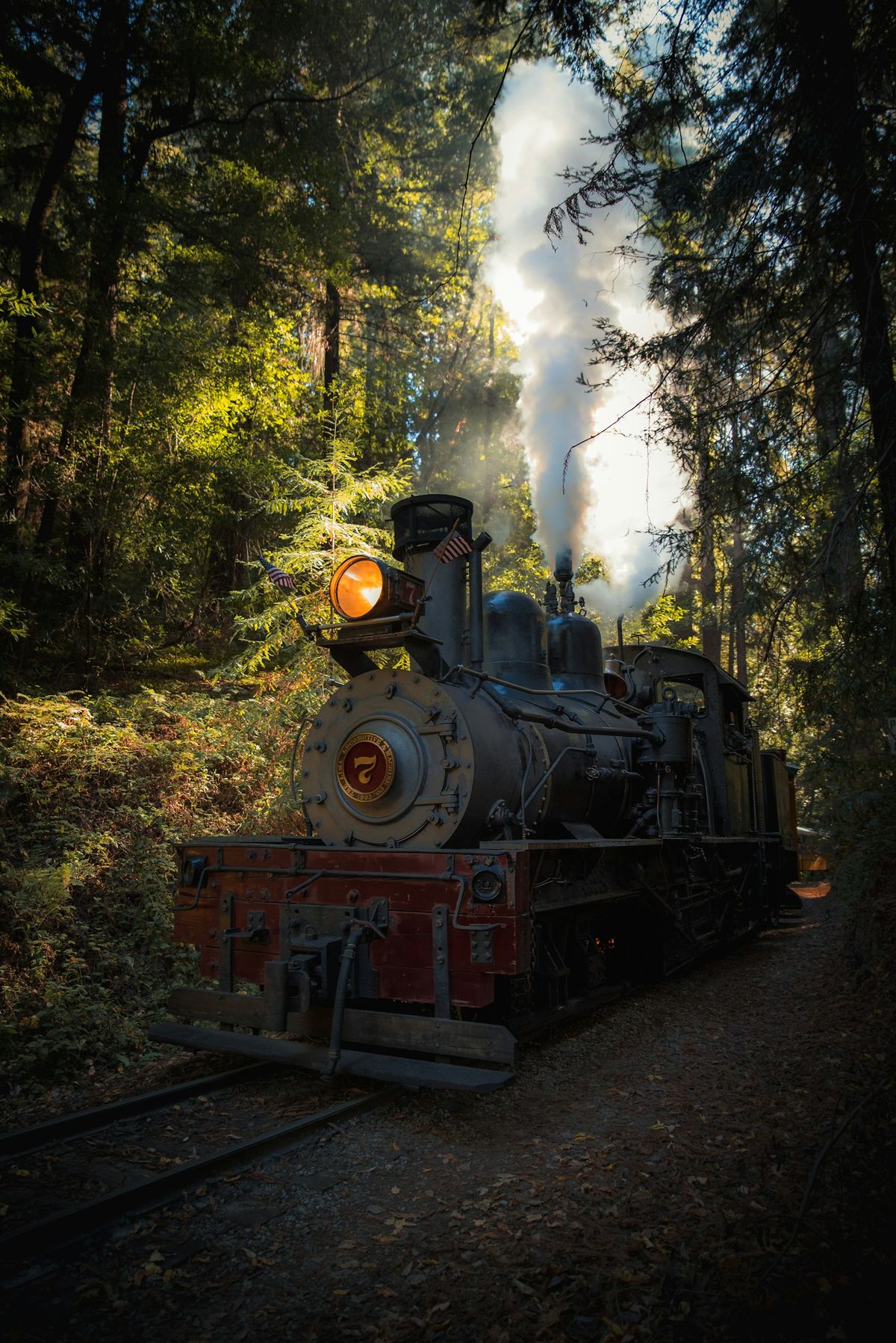 Steam locomotive surrounded by forest trees in the Harz mountains