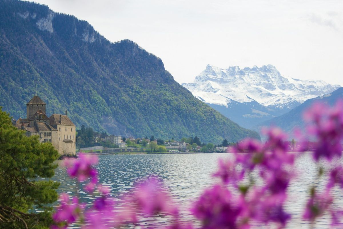Lake Geneva with Alps mountains and purple flowers Montreux