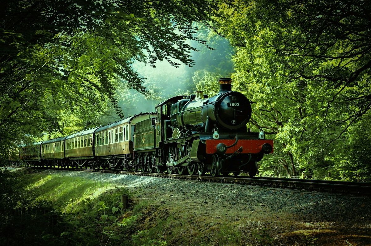 Jacobite steam train passing through Scottish forest