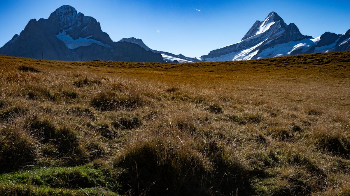 Snow-capped Eiger, Monch and Jungfrau peaks rising above a green alpine meadow