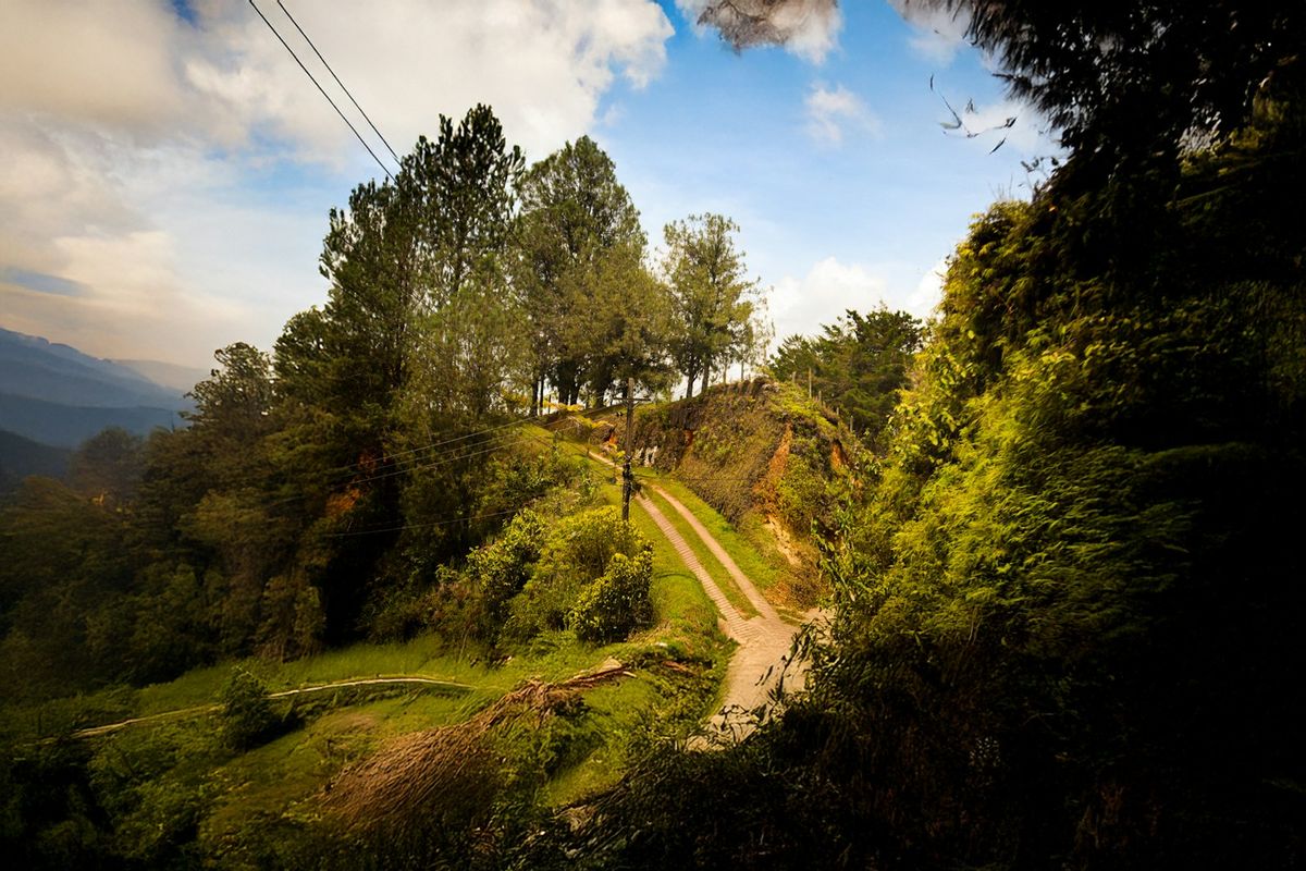 Dirt road winding through green hills in Colombia's coffee region