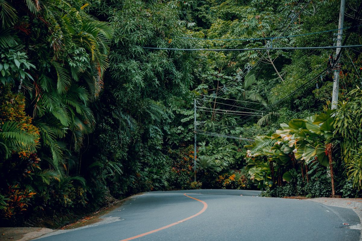 A curved road winding through lush green rainforest in Costa Rica