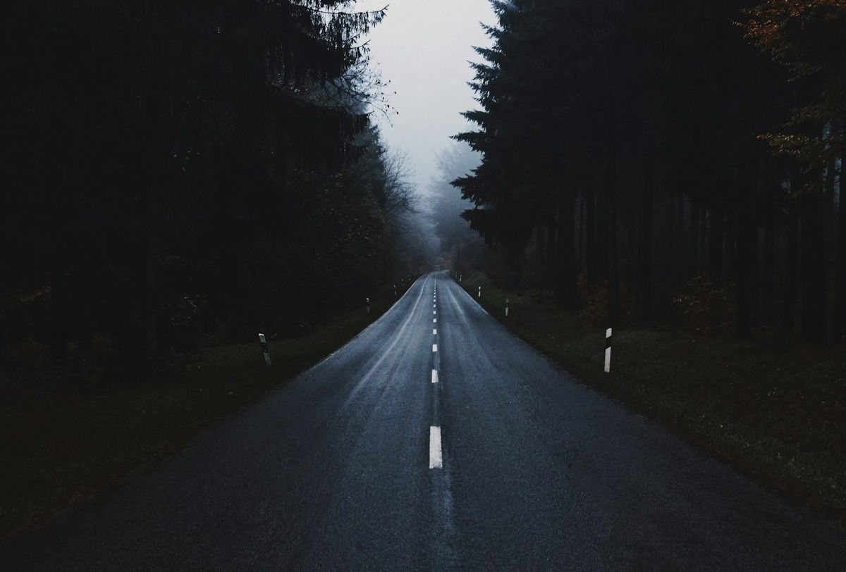 A road through a German forest