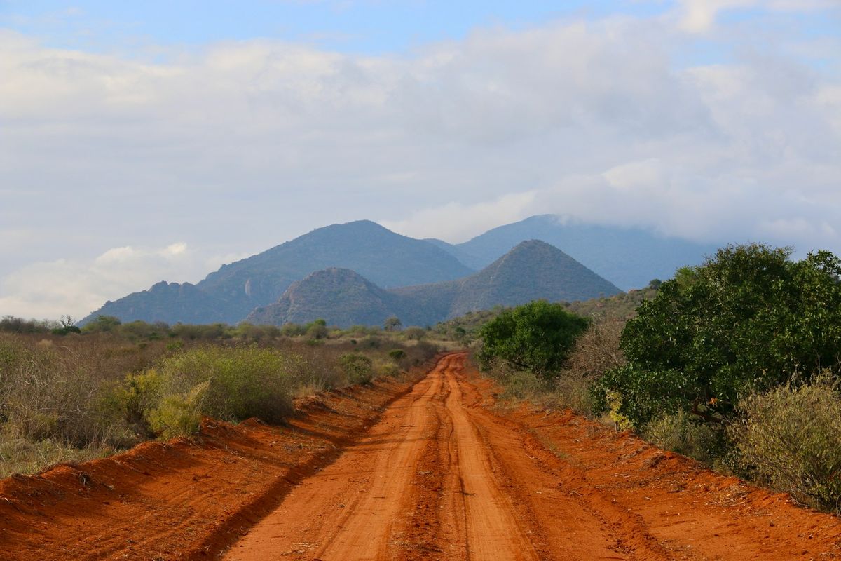 A dirt safari track across the Kenyan savanna