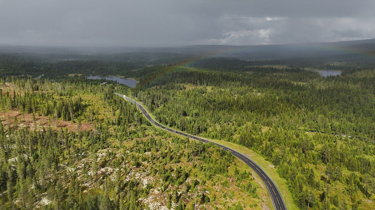 Aerial view of a winding road through dense Baltic forest