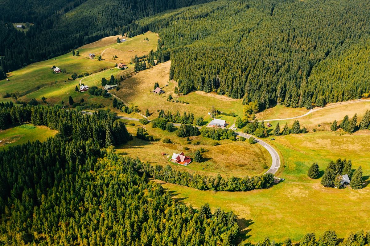 Aerial view of winding road through dense Bohemian forest