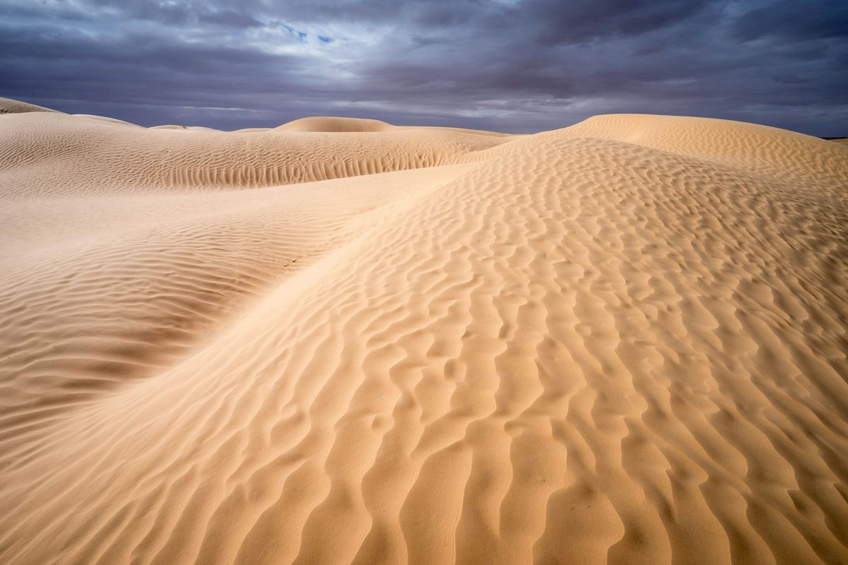Sweeping sand dunes in the Tunisian Sahara