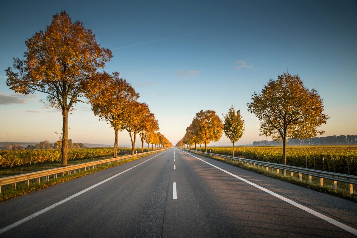 Long straight road with trees on the side