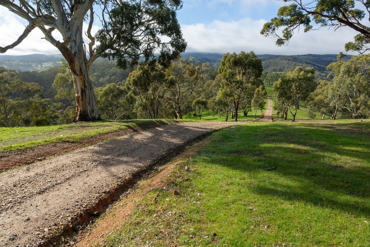 Winding dirt road through the green rolling Adelaide Hills, Australia