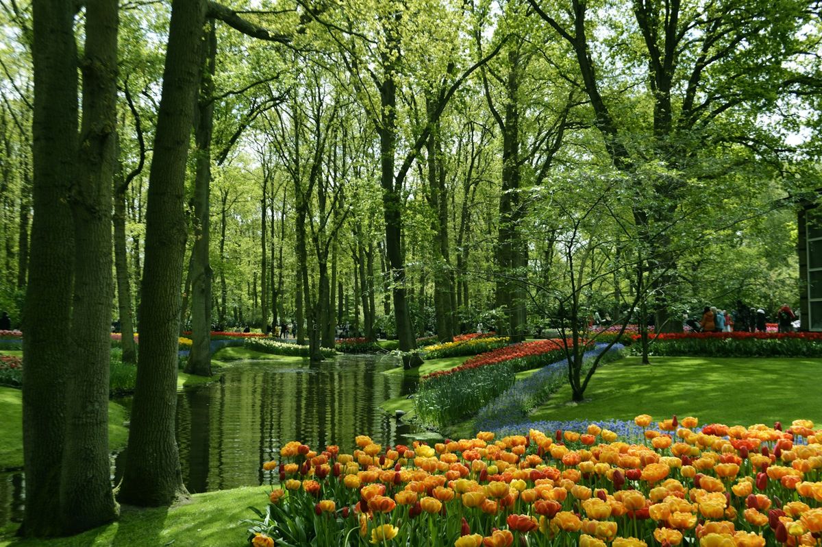 Flower garden with pond and trees at Keukenhof, Netherlands