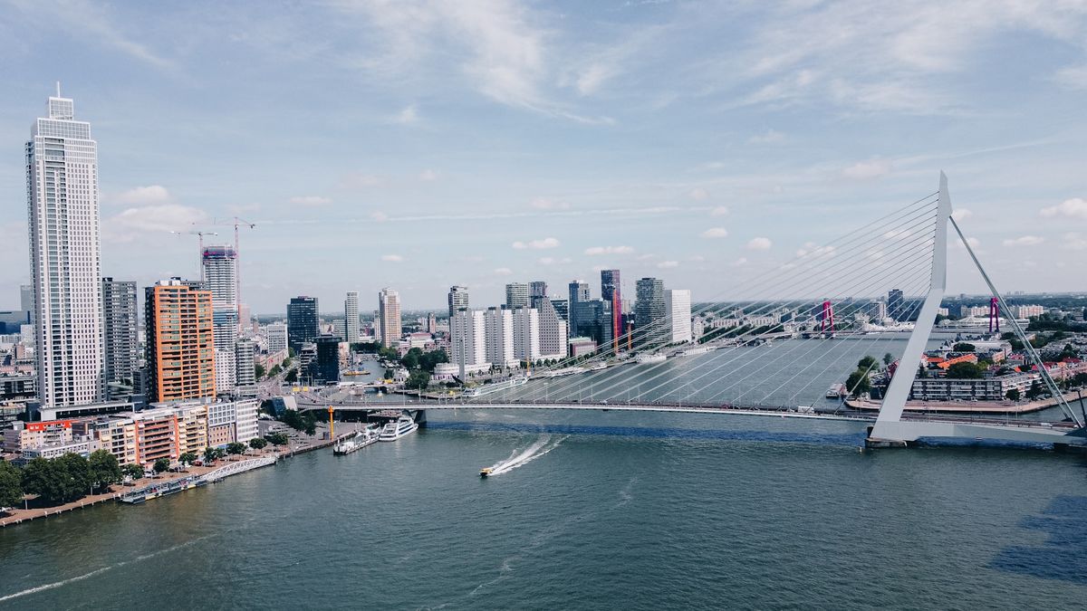 A large bridge spanning the water in Rotterdam's modern skyline