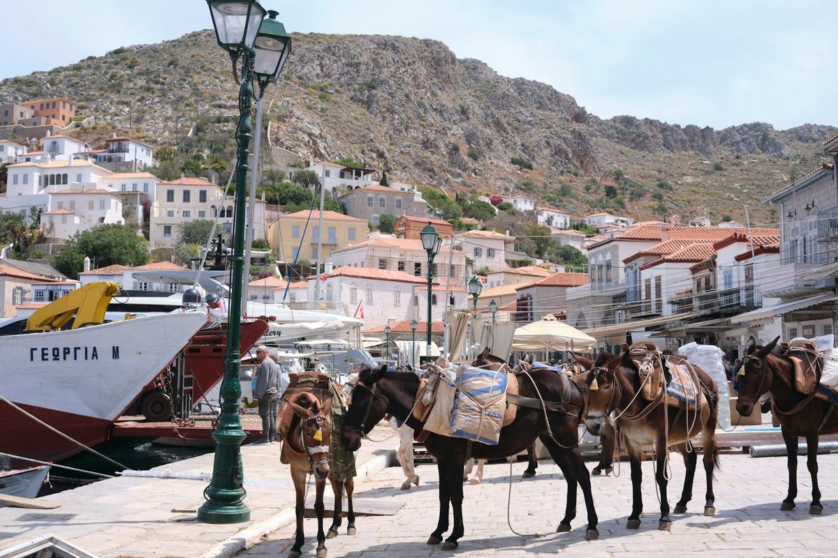 Donkeys tied up on a narrow street in Hydra, Greece