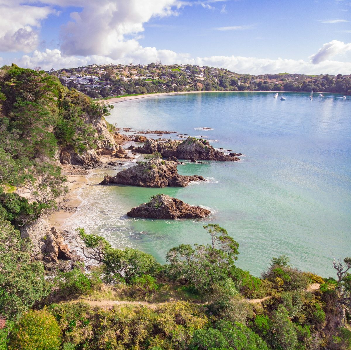 Waiheke Island coastline with green hills and blue water