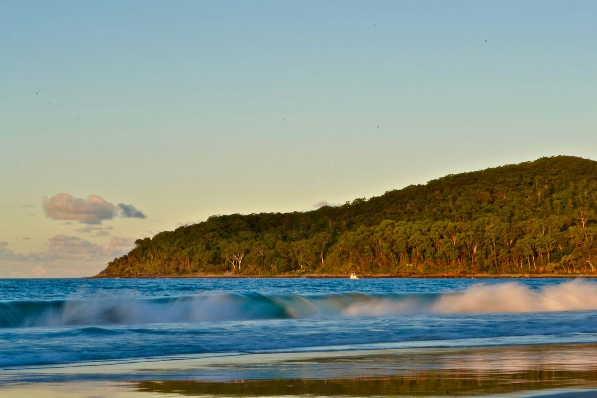 Green headland beside the ocean at the Sunshine Coast, Australia