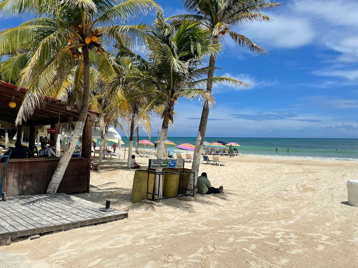 Beach with palm trees and umbrellas at Playa del Carmen, Mexico