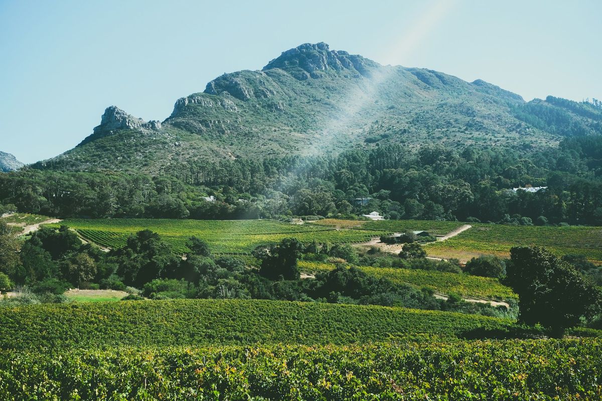 Vineyard valley below mountains in the Franschhoek wine region, South Africa