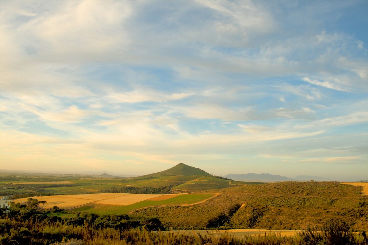 Vineyards and farmland below mountains in the Cape Winelands, South Africa
