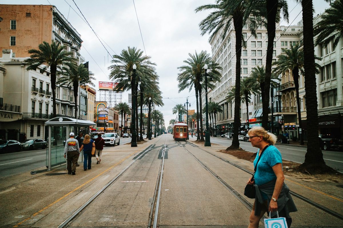 New Orleans streetcar on a palm-lined city street