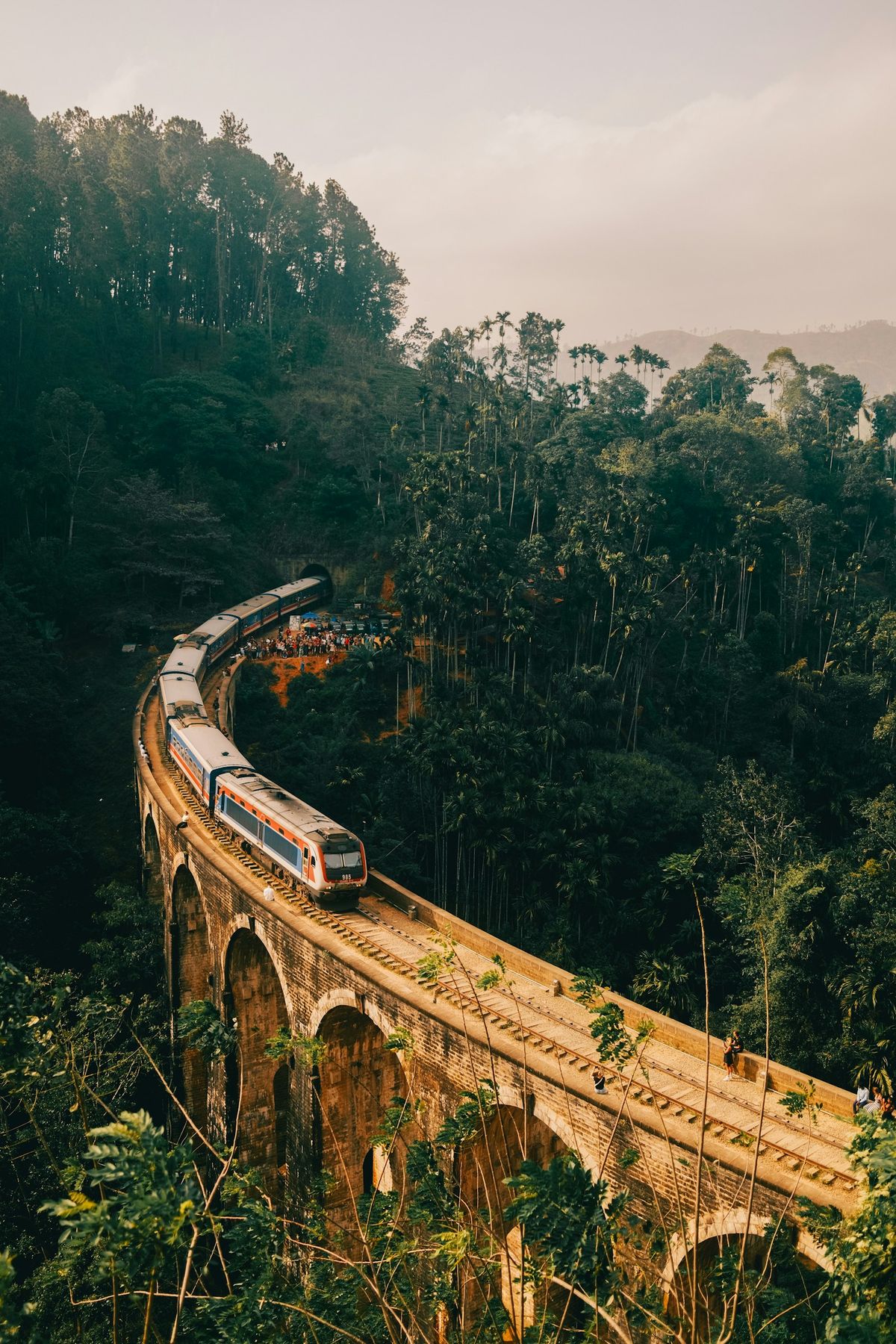 Train crossing nine arch viaduct bridge in Sri Lanka surrounded by green forest