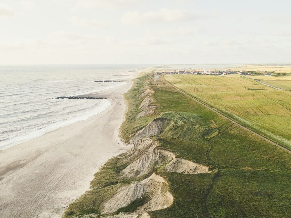 Grassy coastal landscape along the Danish sea coast