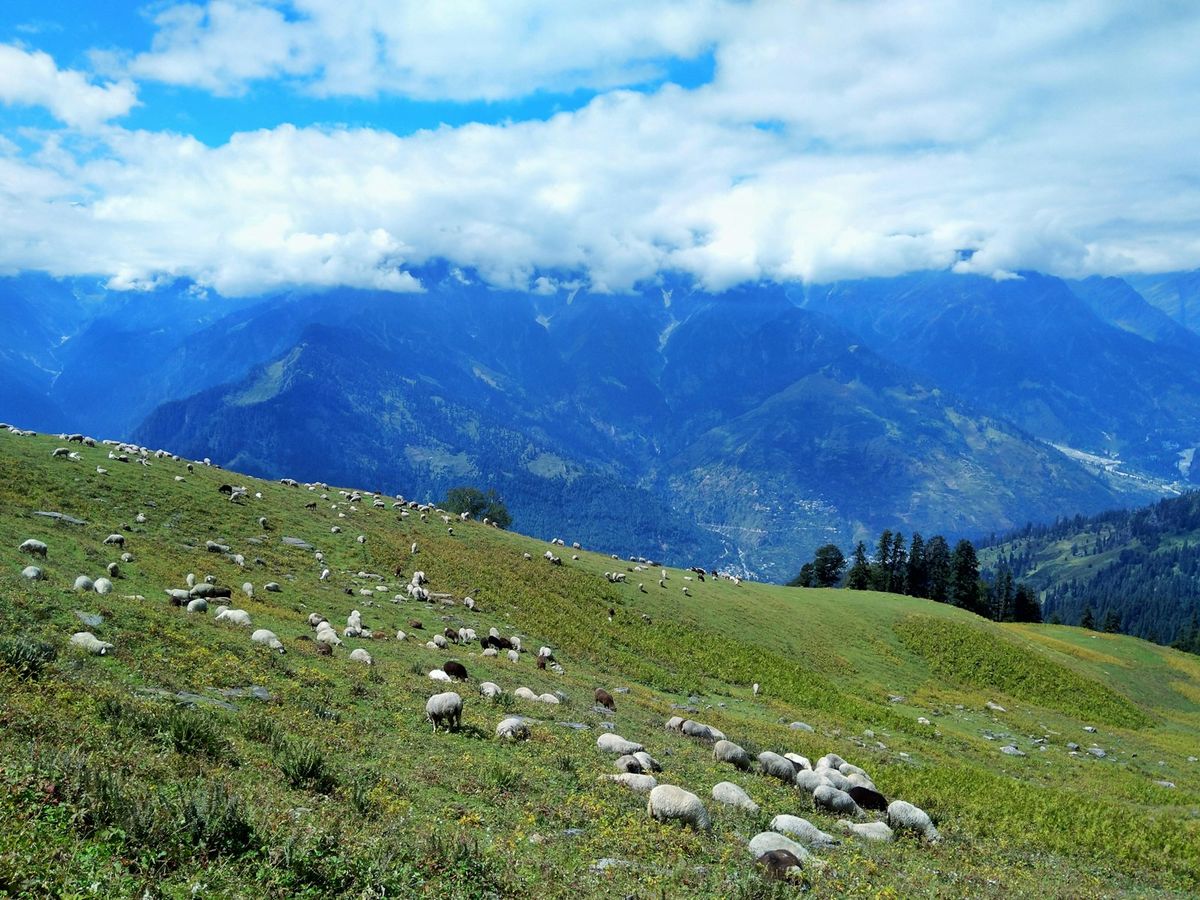 Green valley with mountains near Manali, Himachal Pradesh
