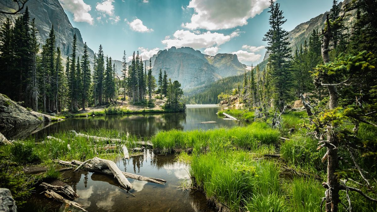 Lake surrounded by trees and mountains in Rocky Mountain National Park, Colorado