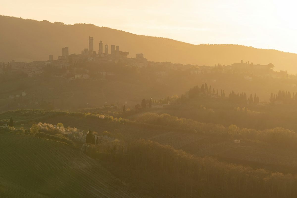 View of San Gimignano's medieval towers from a hillside in Tuscany