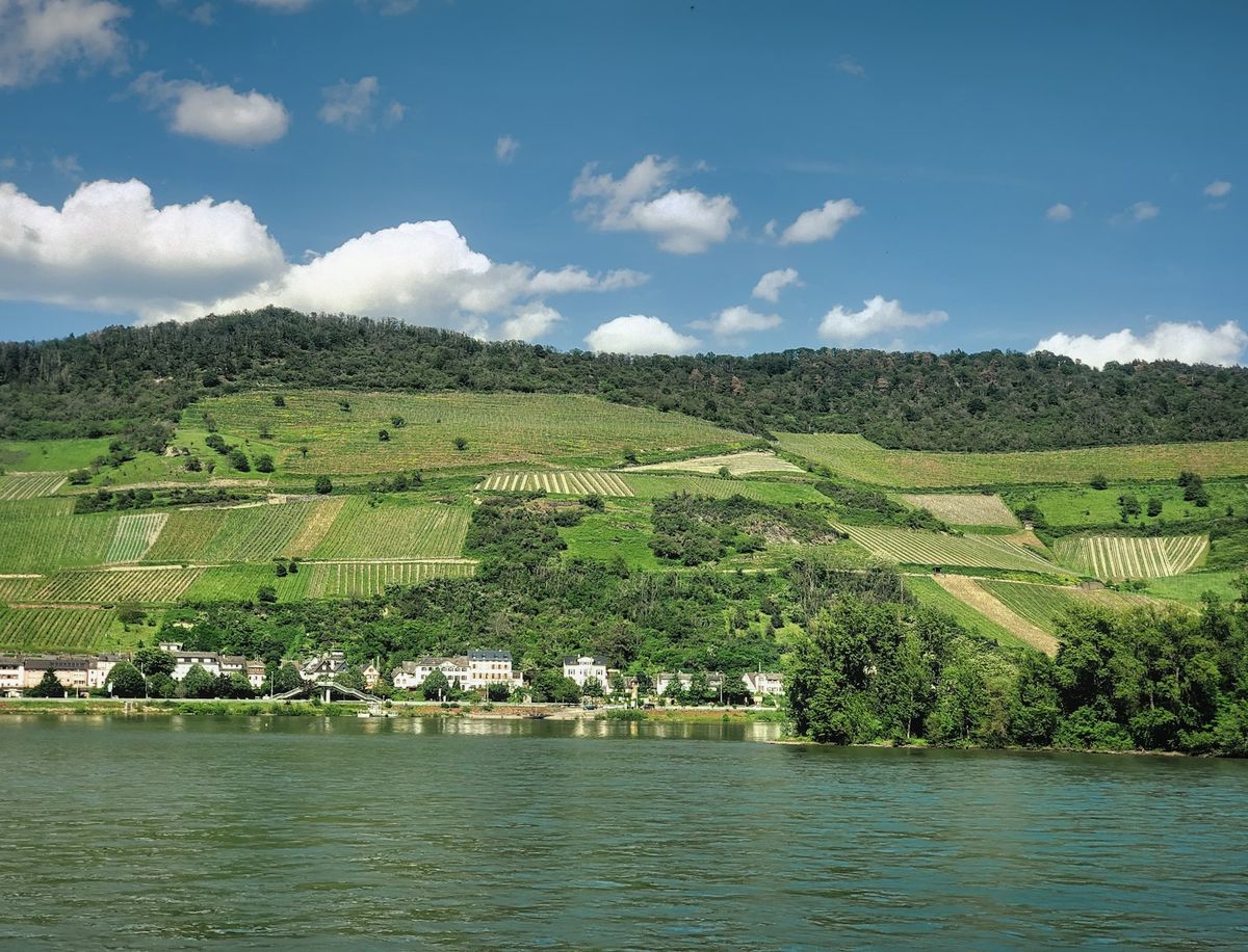 Scenic view of green Rhine valley and river in Germany
