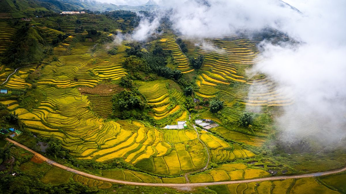 Terraced rice fields in the mountains near Sapa, Vietnam