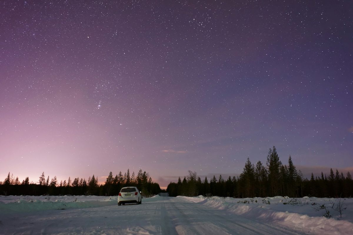 Snow-covered road through Lapland pine forest