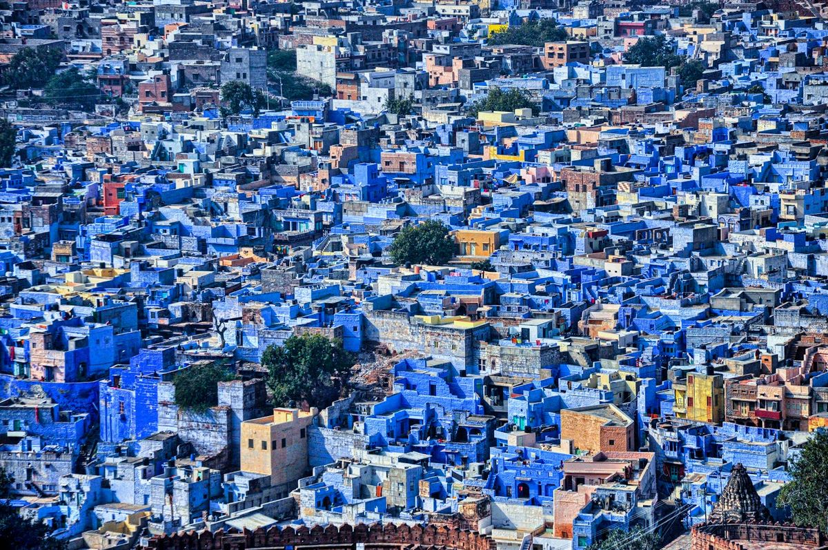 A large group of blue-painted buildings in Jodhpur, the Blue City