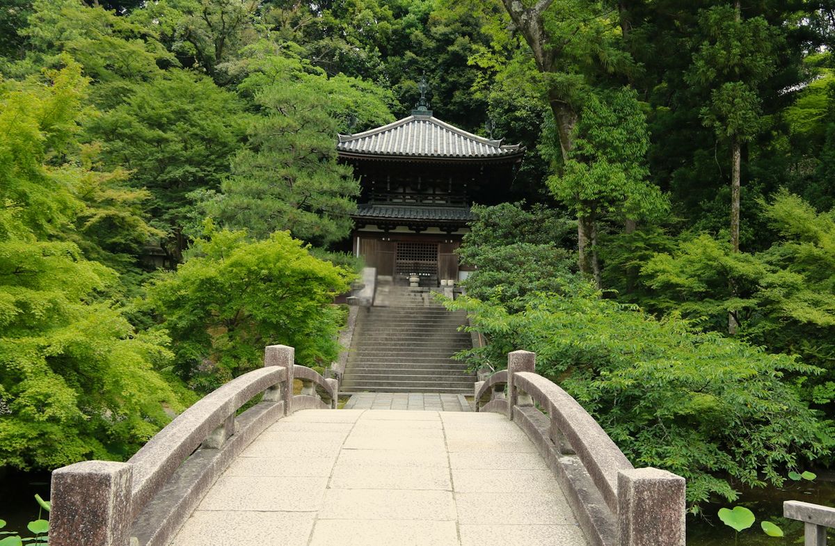 A pagoda behind a stone bridge in Nara
