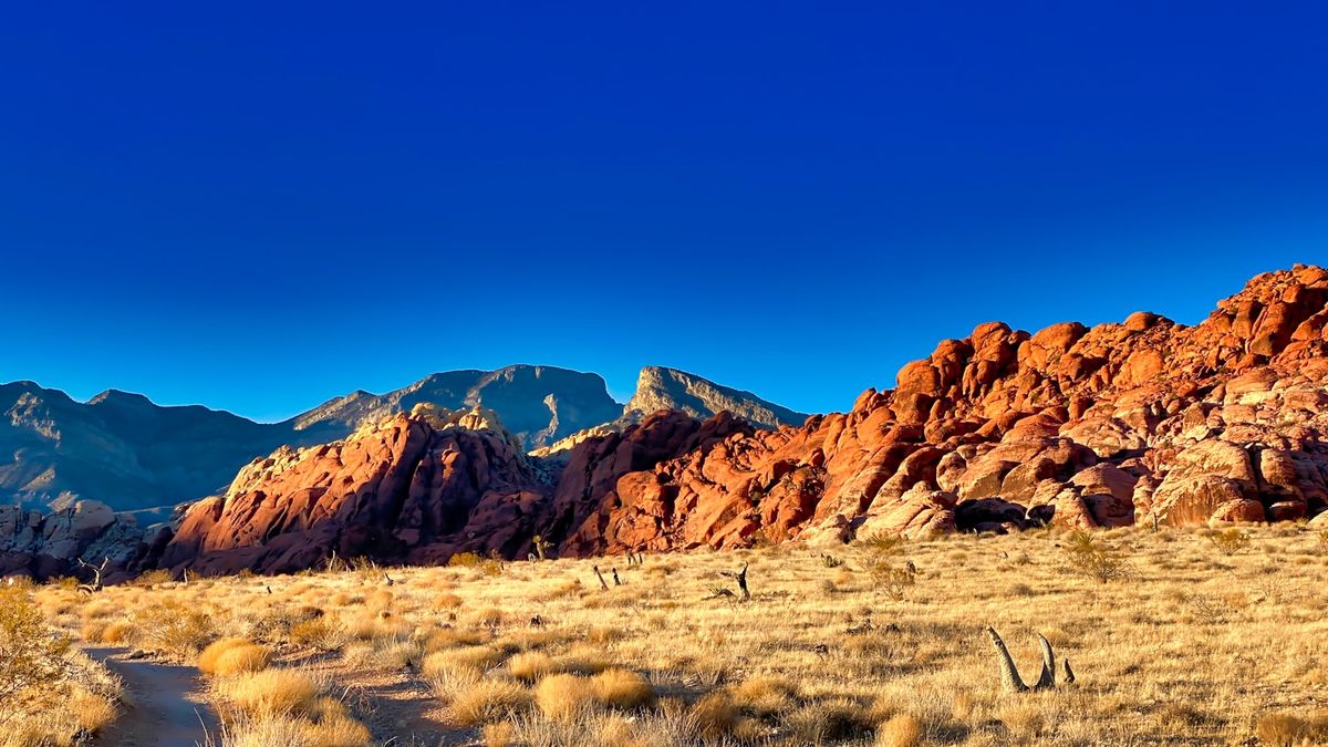 Red sandstone rock formations under blue sky at Valley of Fire, Nevada