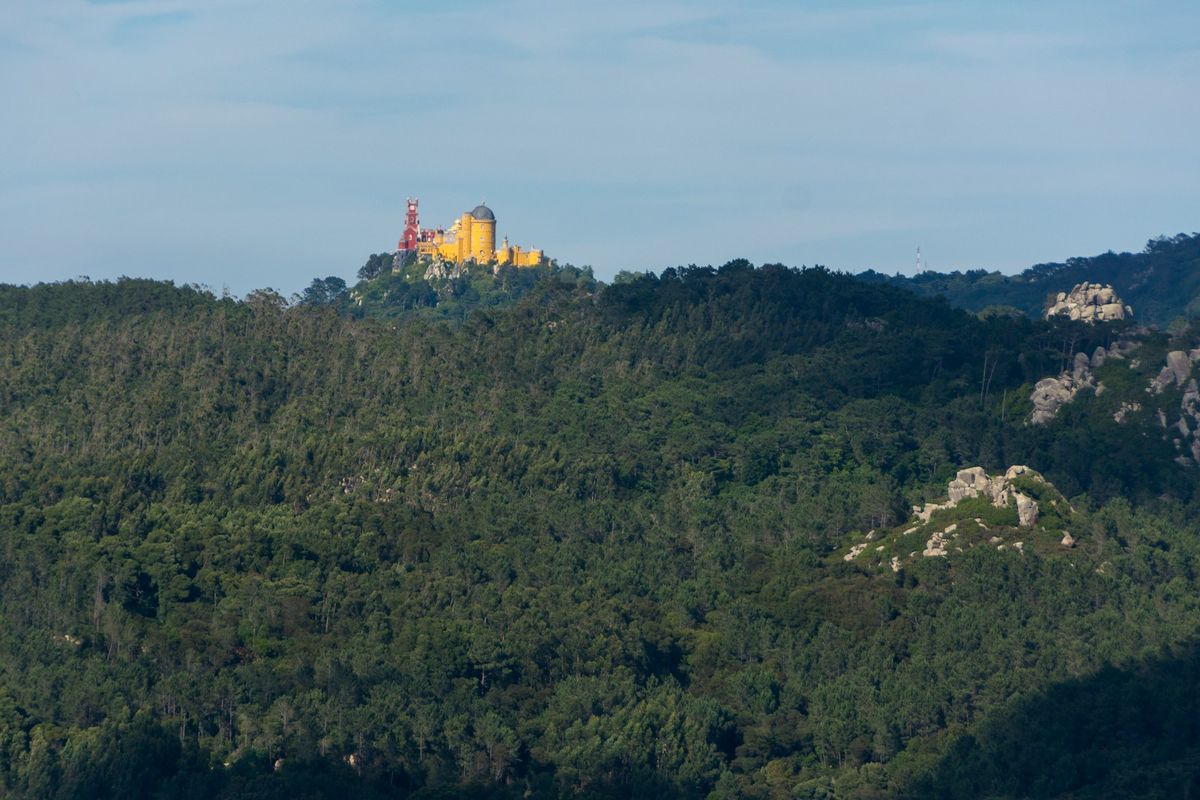Yellow Pena Palace castle on forested hill in Sintra